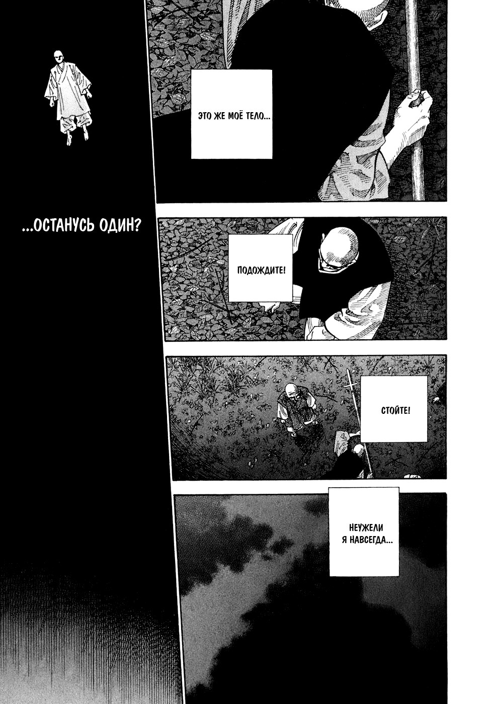 Read Vagabond RU Manga Online