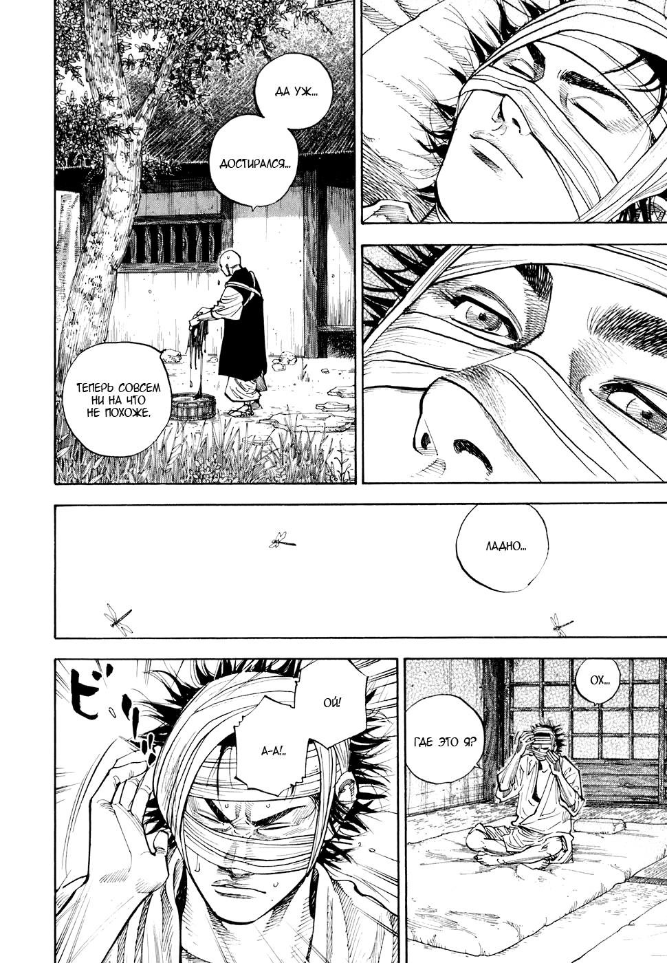 Read Vagabond RU Manga Online