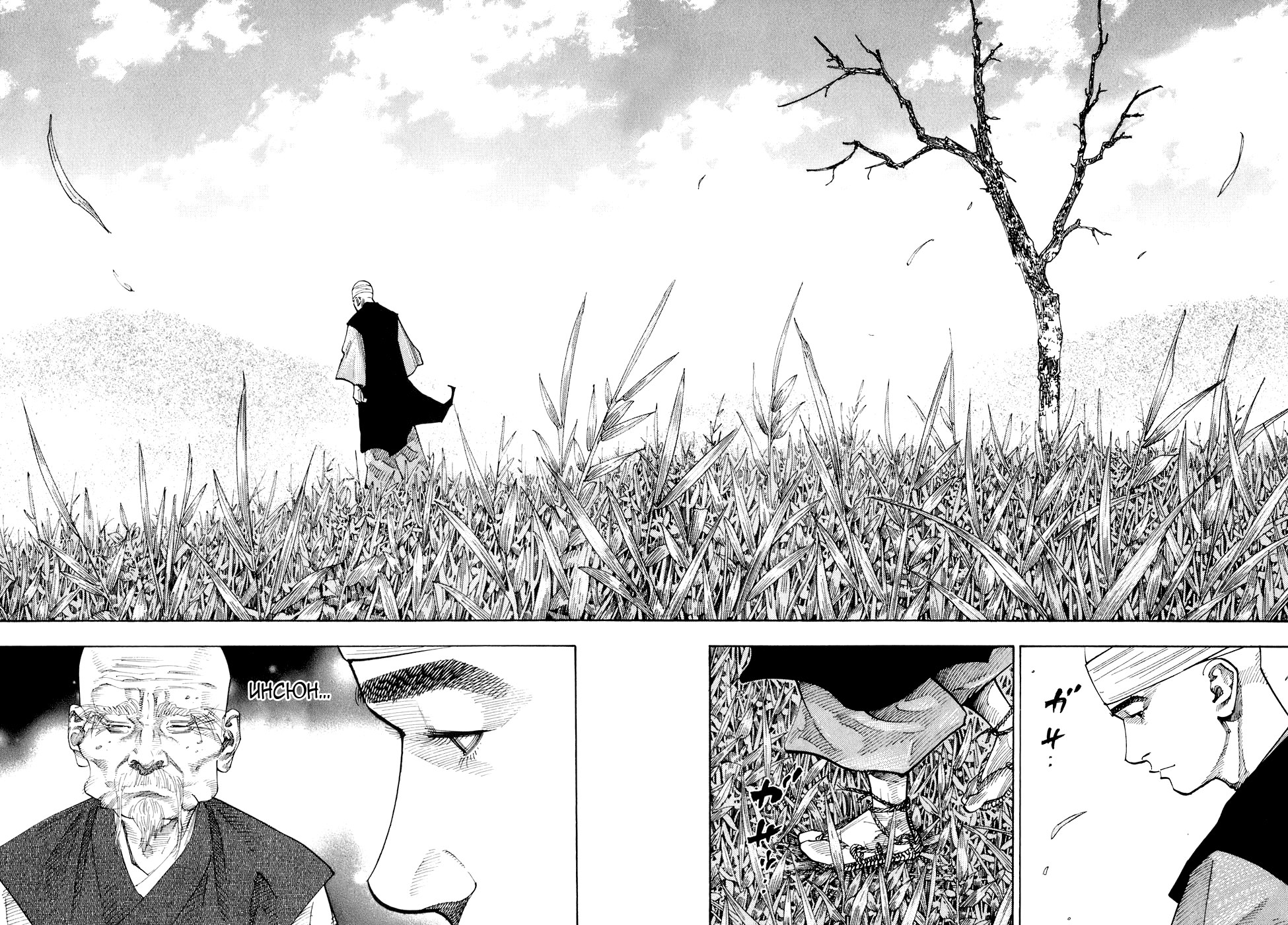 Read Vagabond RU Manga Online