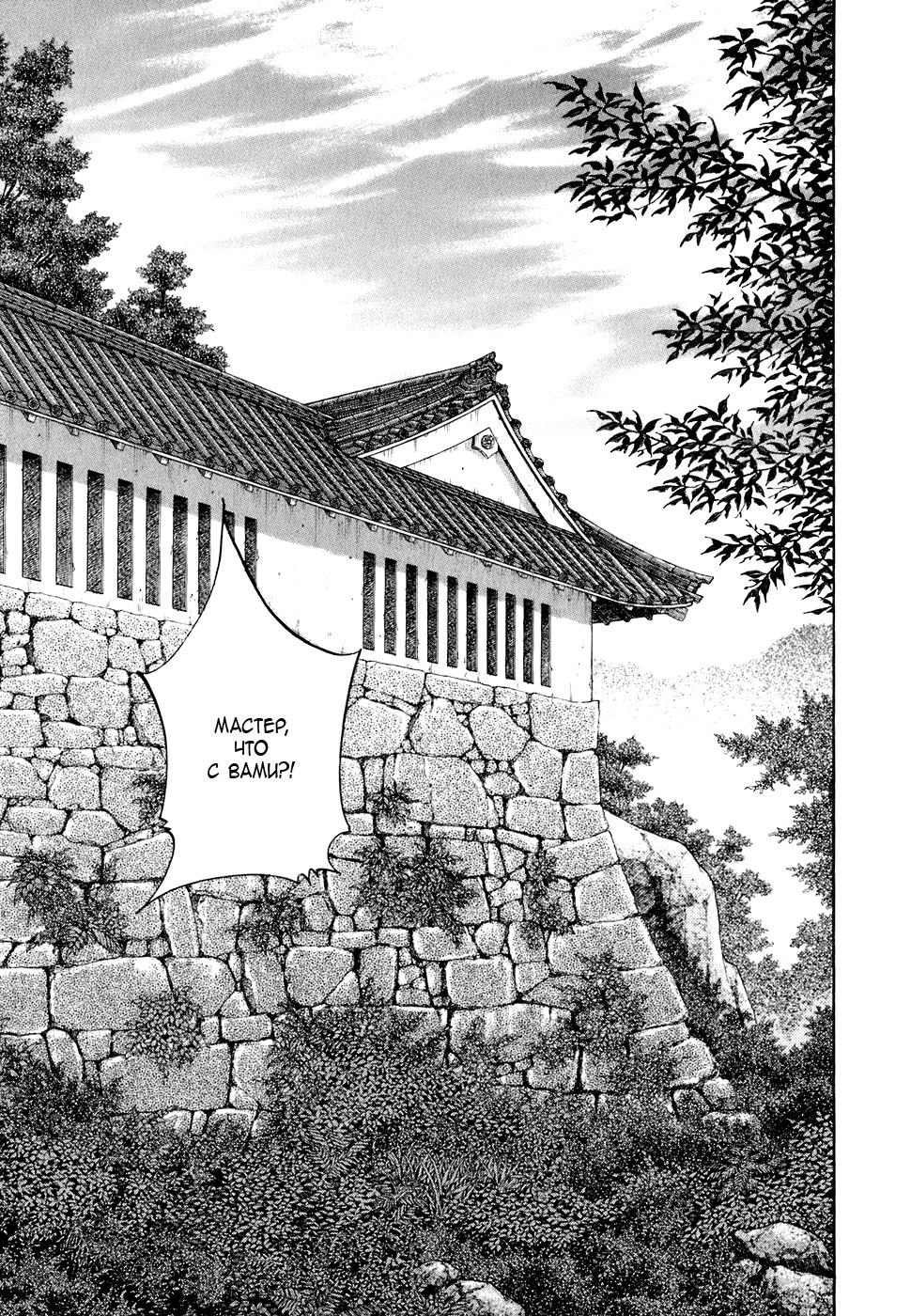 Read Vagabond RU Manga Online