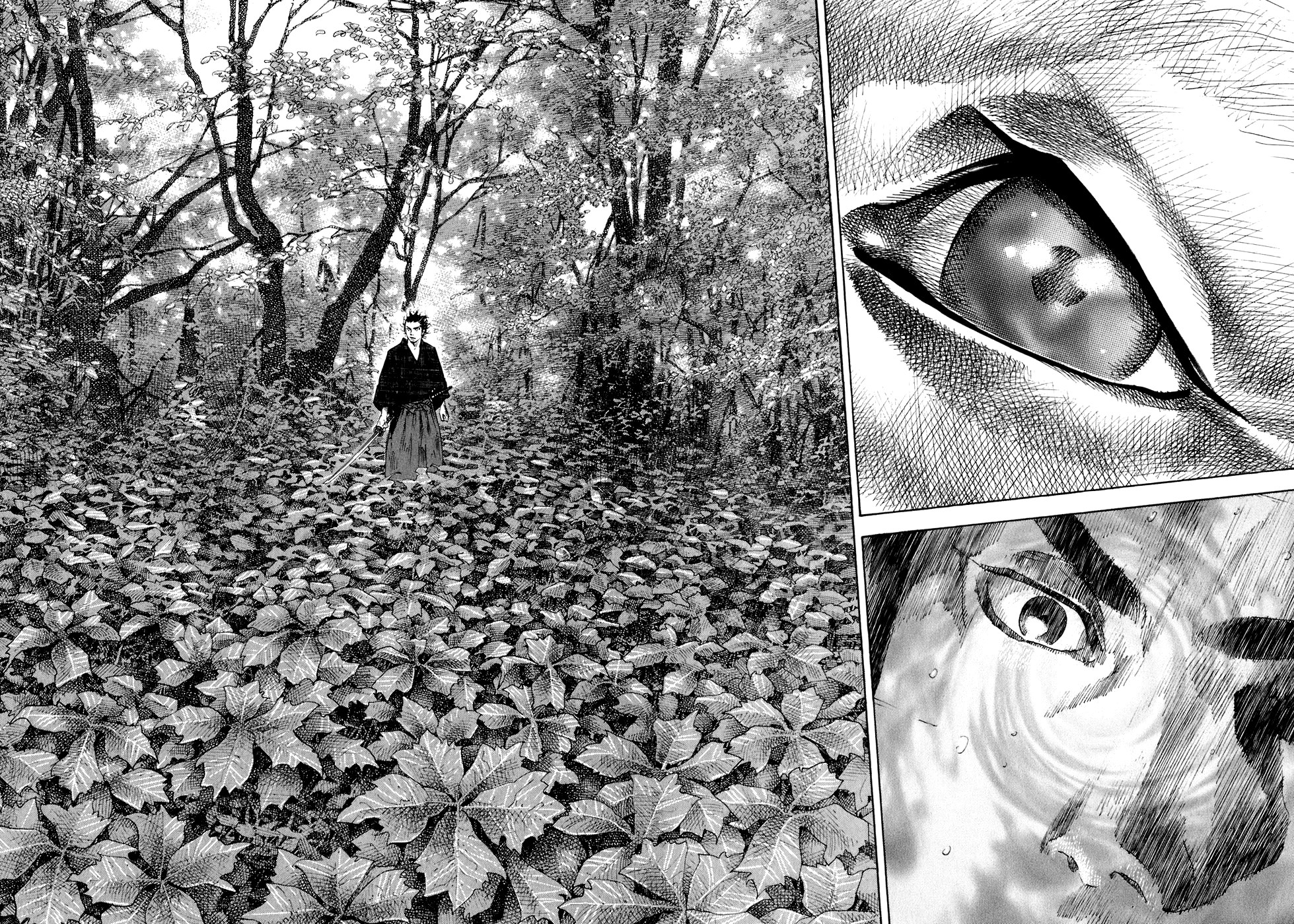 Read Vagabond RU Manga Online