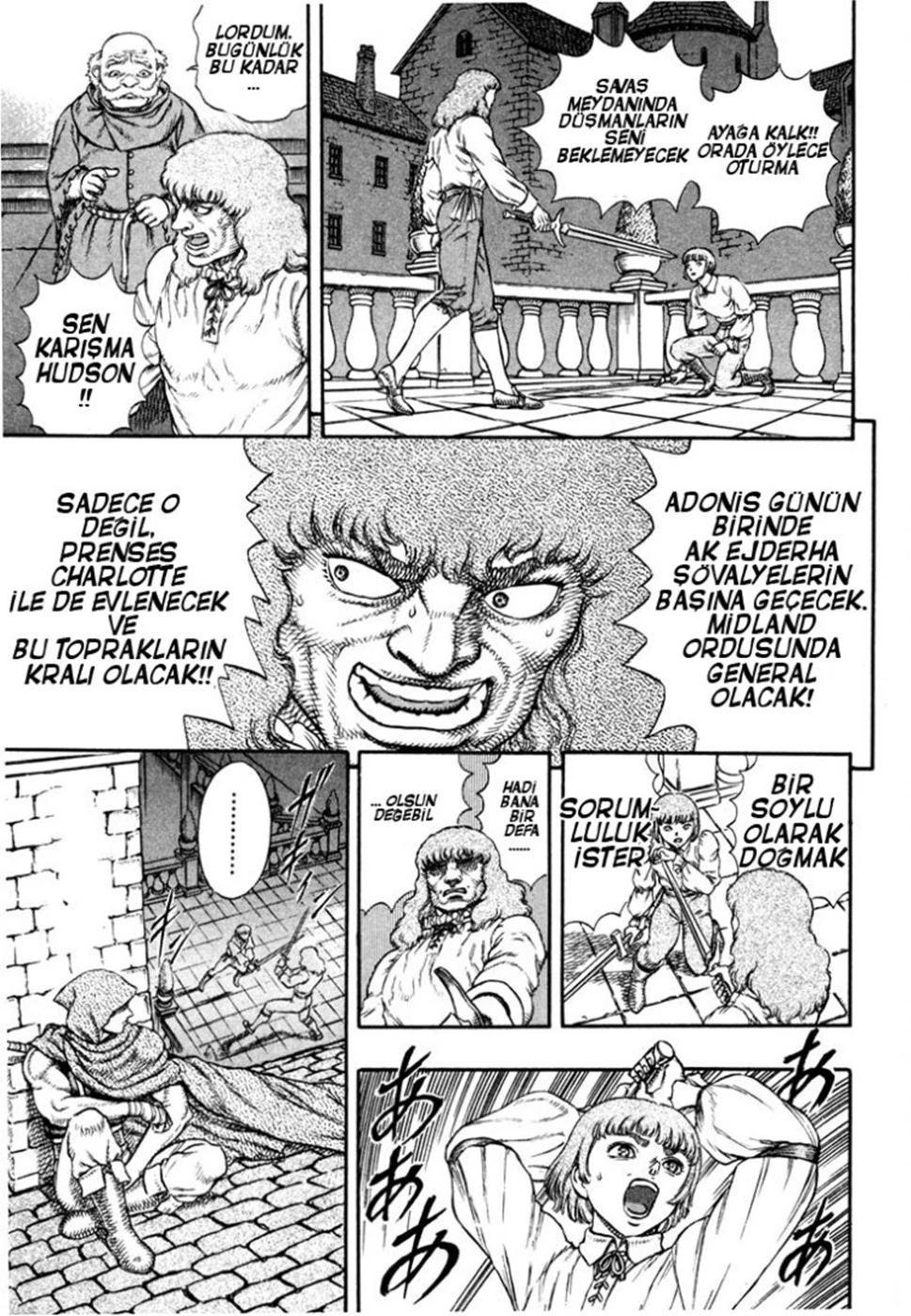 Read Berserk TR Manga Online