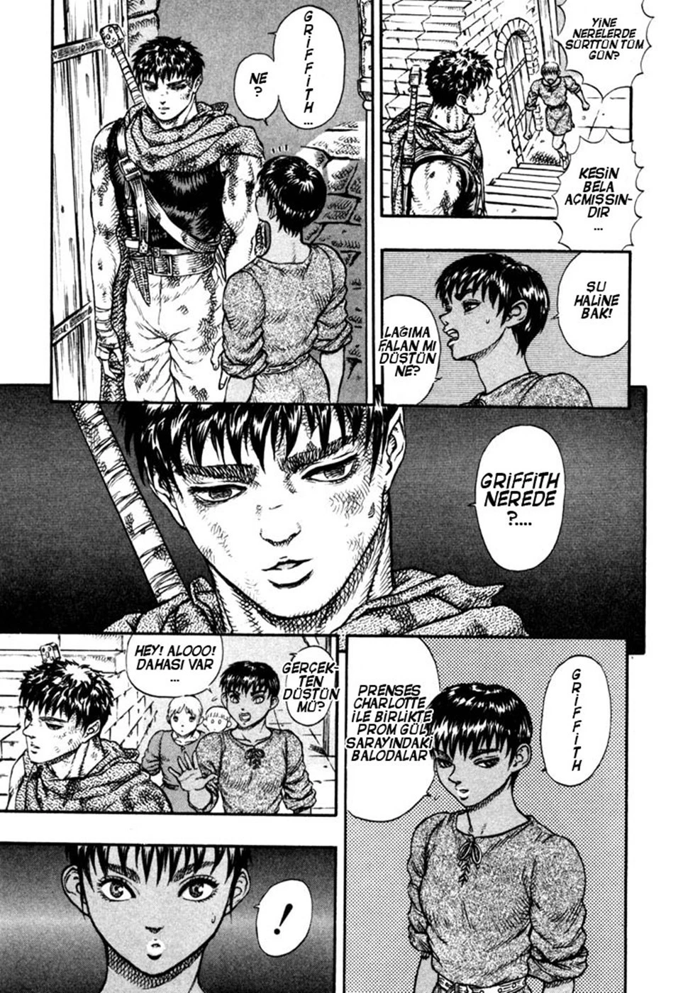 Read Berserk TR Manga Online