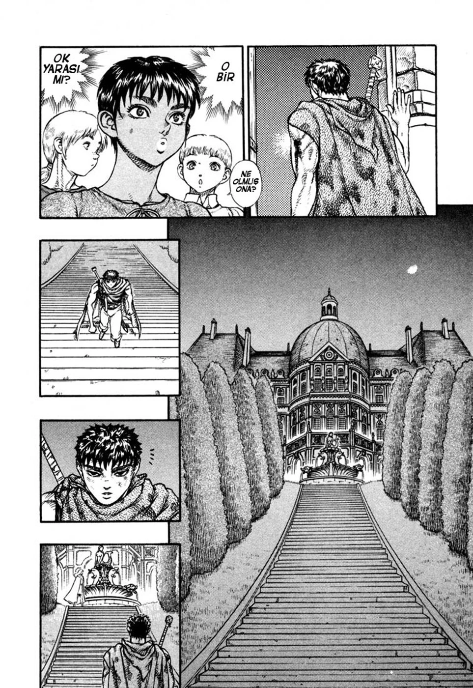 Read Berserk TR Manga Online