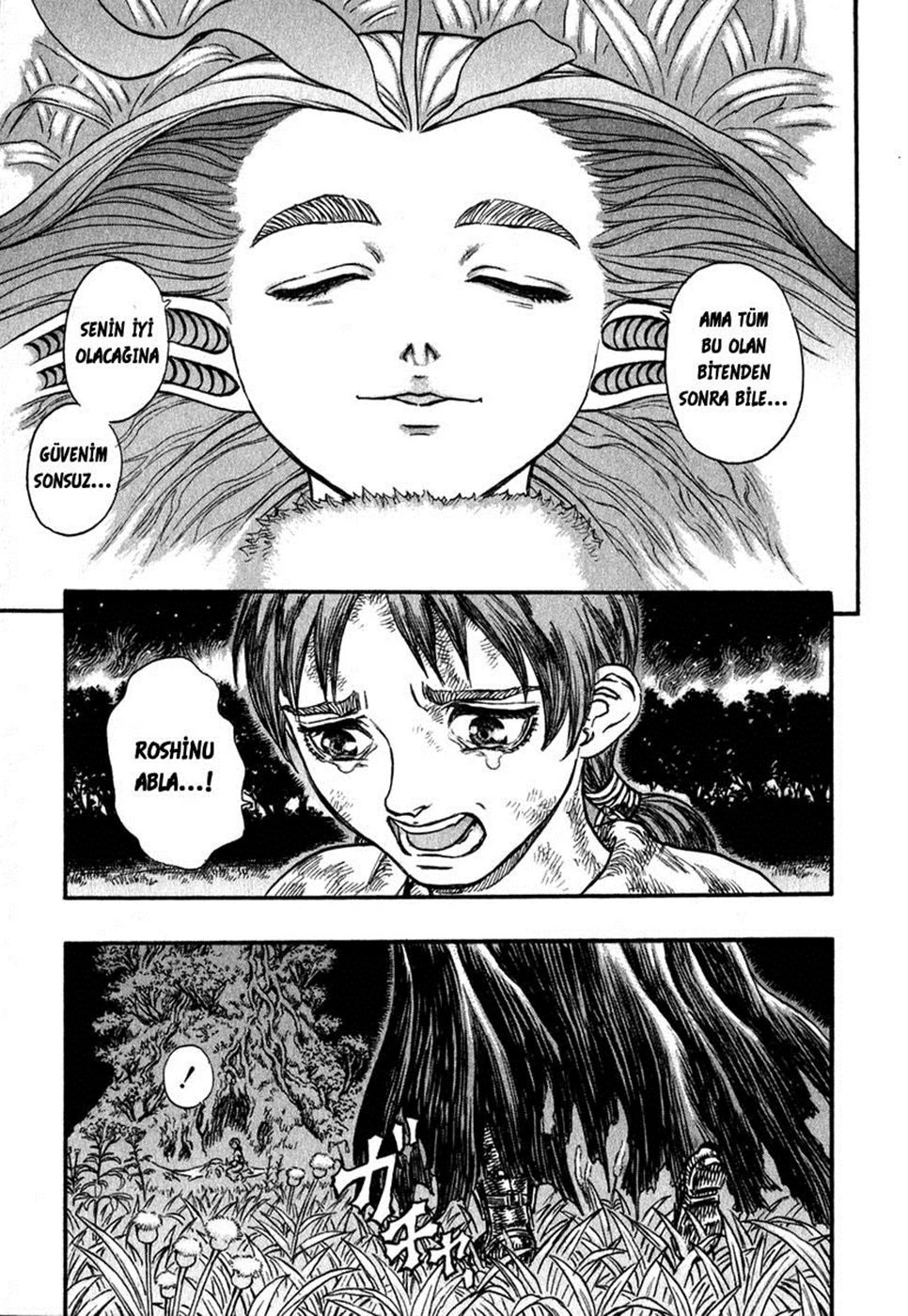 Read Berserk TR Manga Online