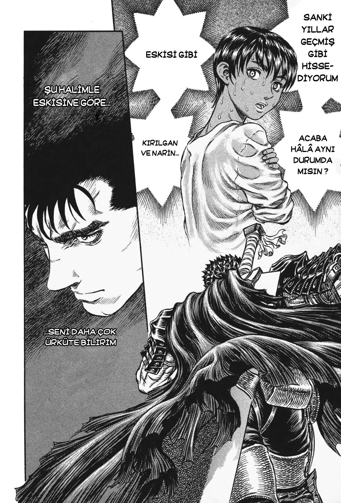 Read Berserk TR Manga Online