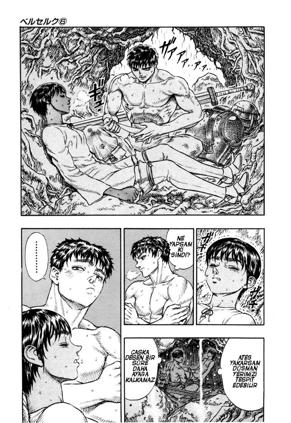 Read Berserk TR Manga Online