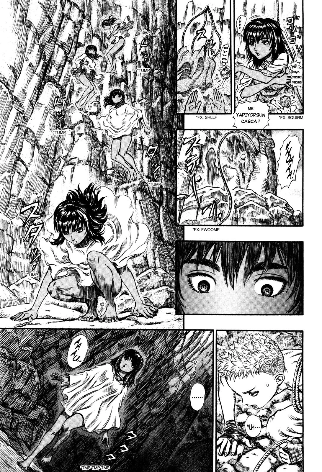 Read Berserk TR Manga Online