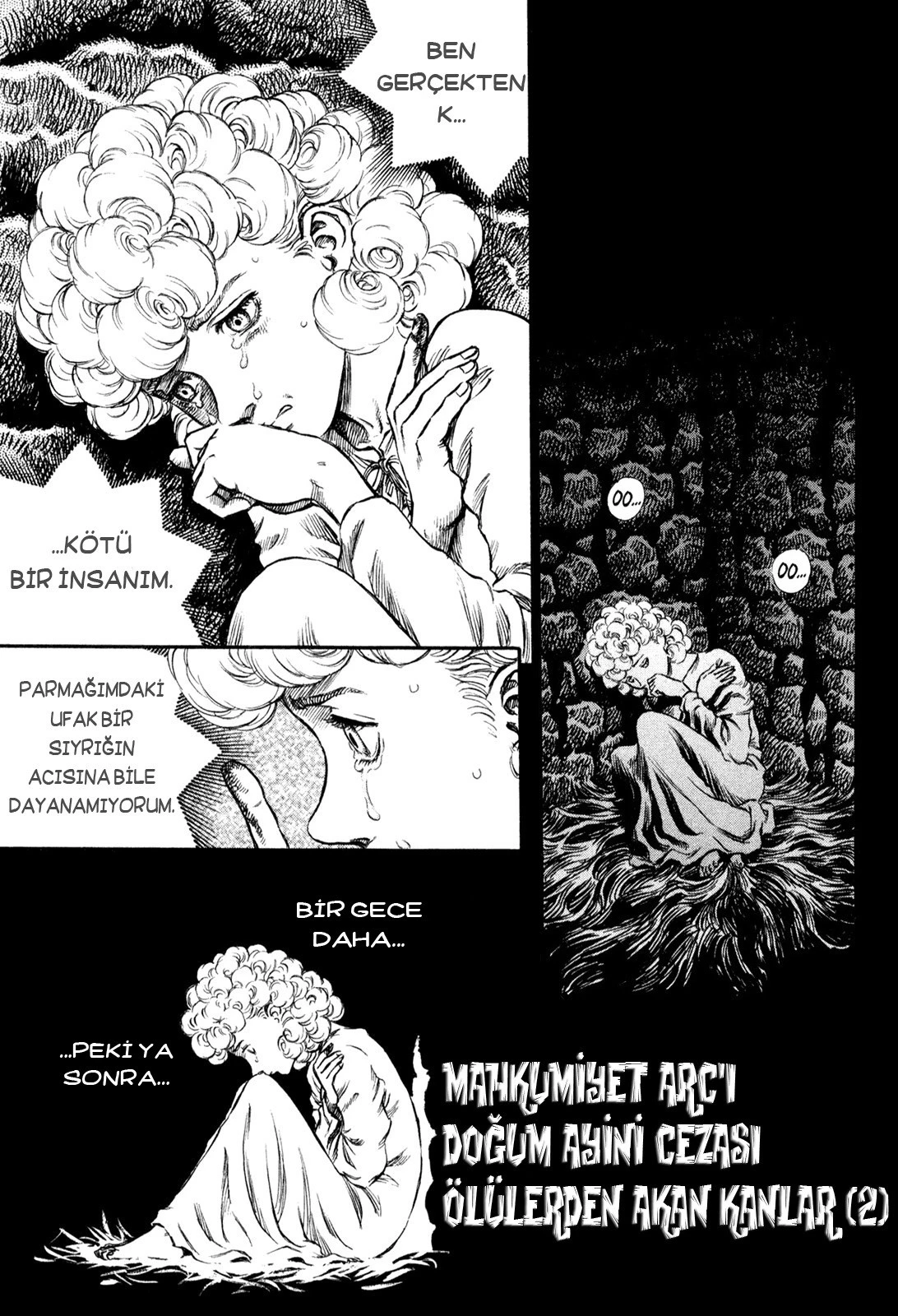 Read Berserk TR Manga Online