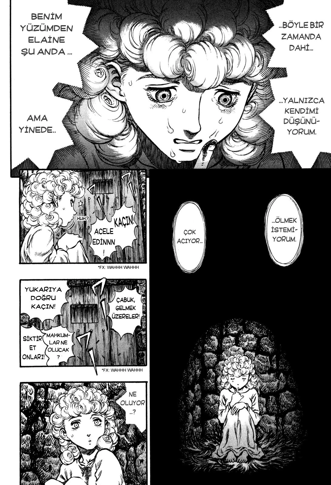 Read Berserk TR Manga Online