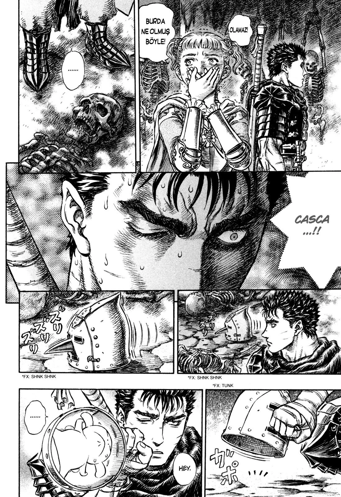 Read Berserk TR Manga Online