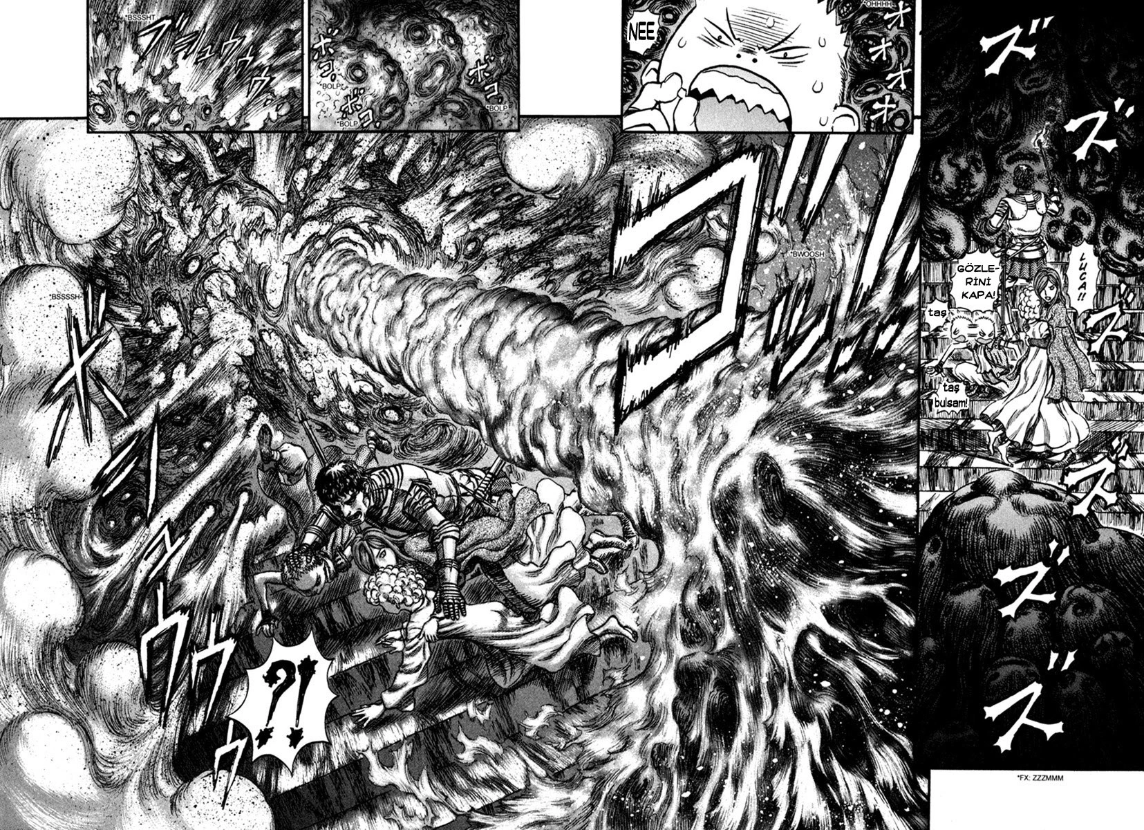 Read Berserk TR Manga Online