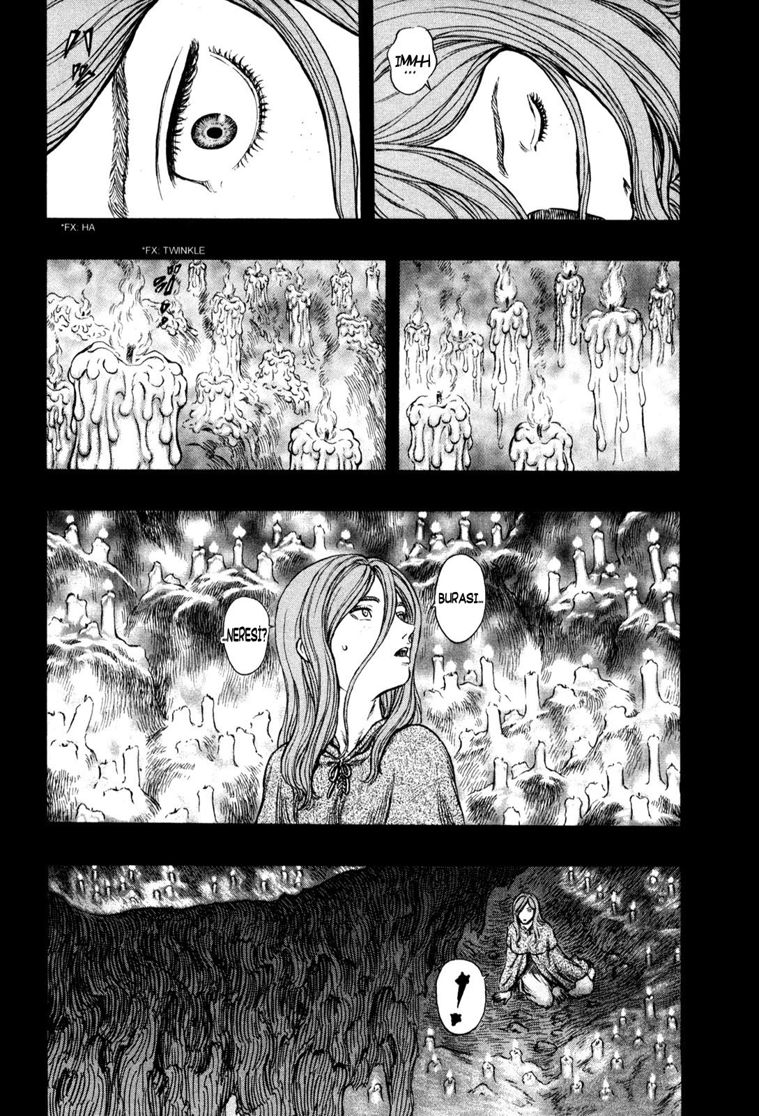 Read Berserk TR Manga Online