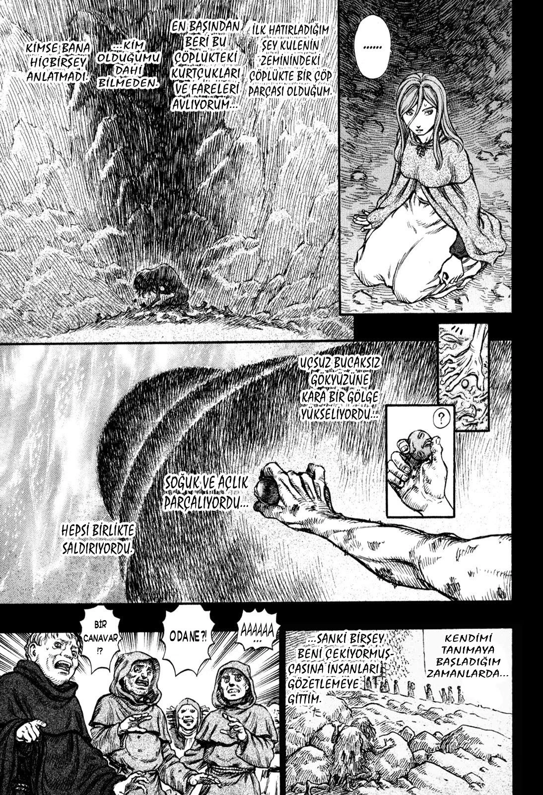 Read Berserk TR Manga Online