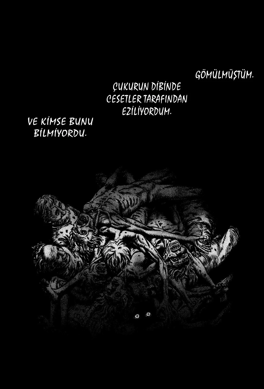 Read Berserk TR Manga Online