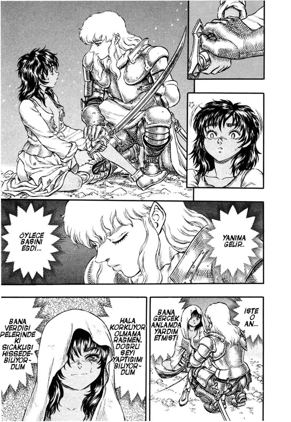 Read Berserk TR Manga Online