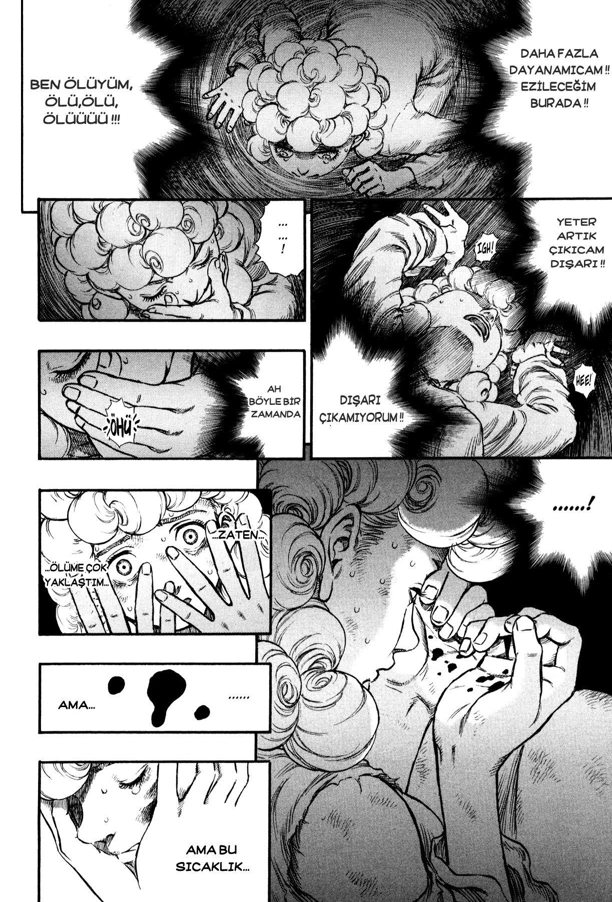 Read Berserk TR Manga Online