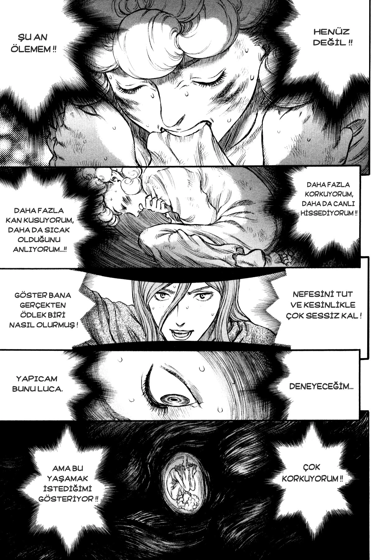 Read Berserk TR Manga Online