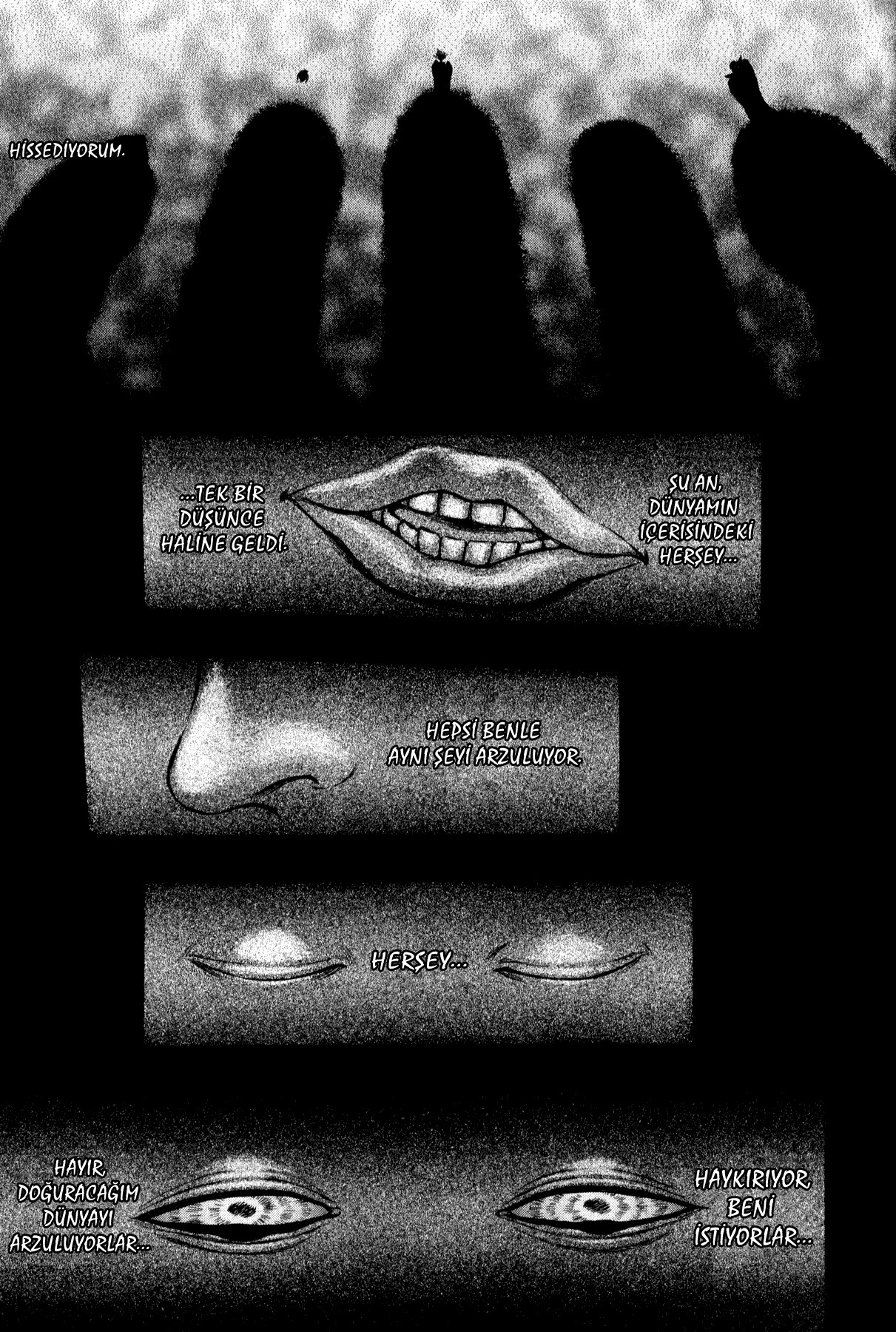 Read Berserk TR Manga Online