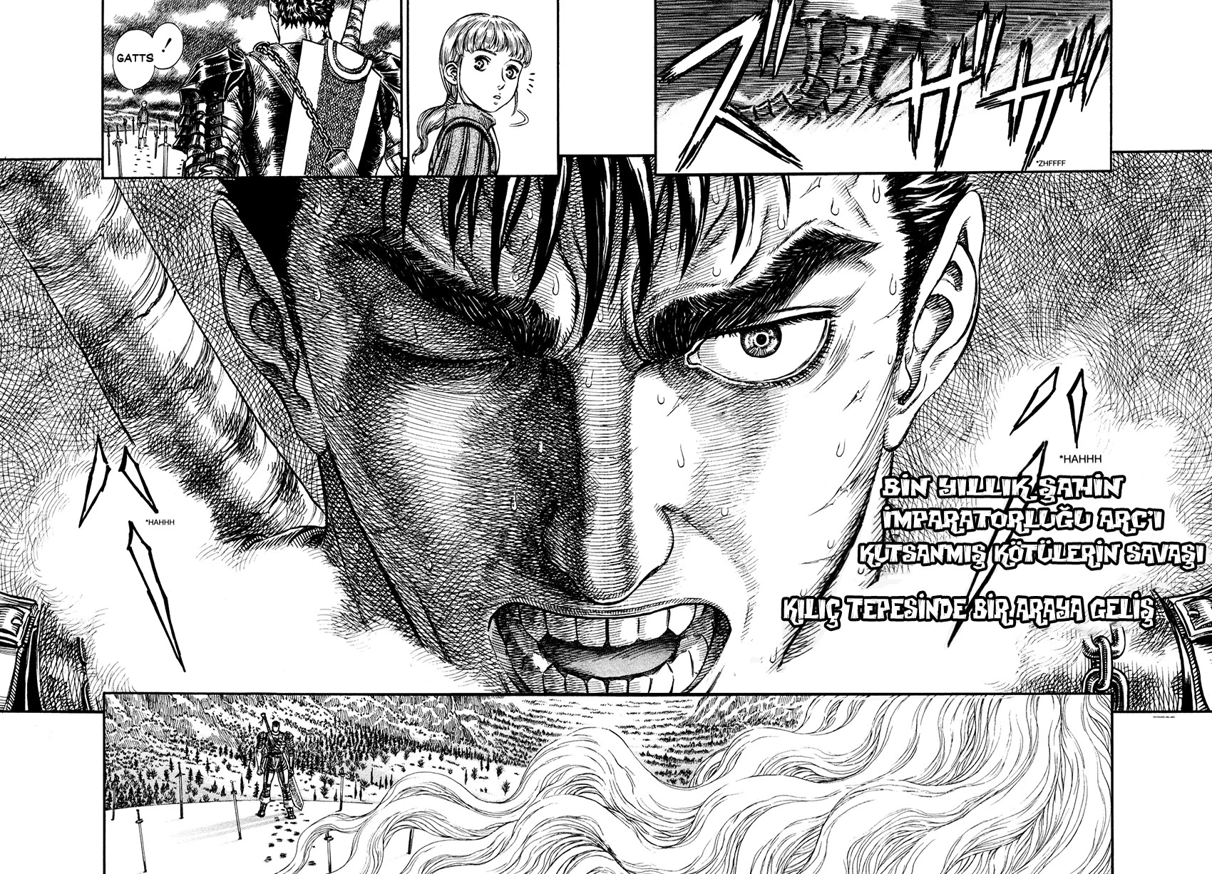 Read Berserk TR Manga Online