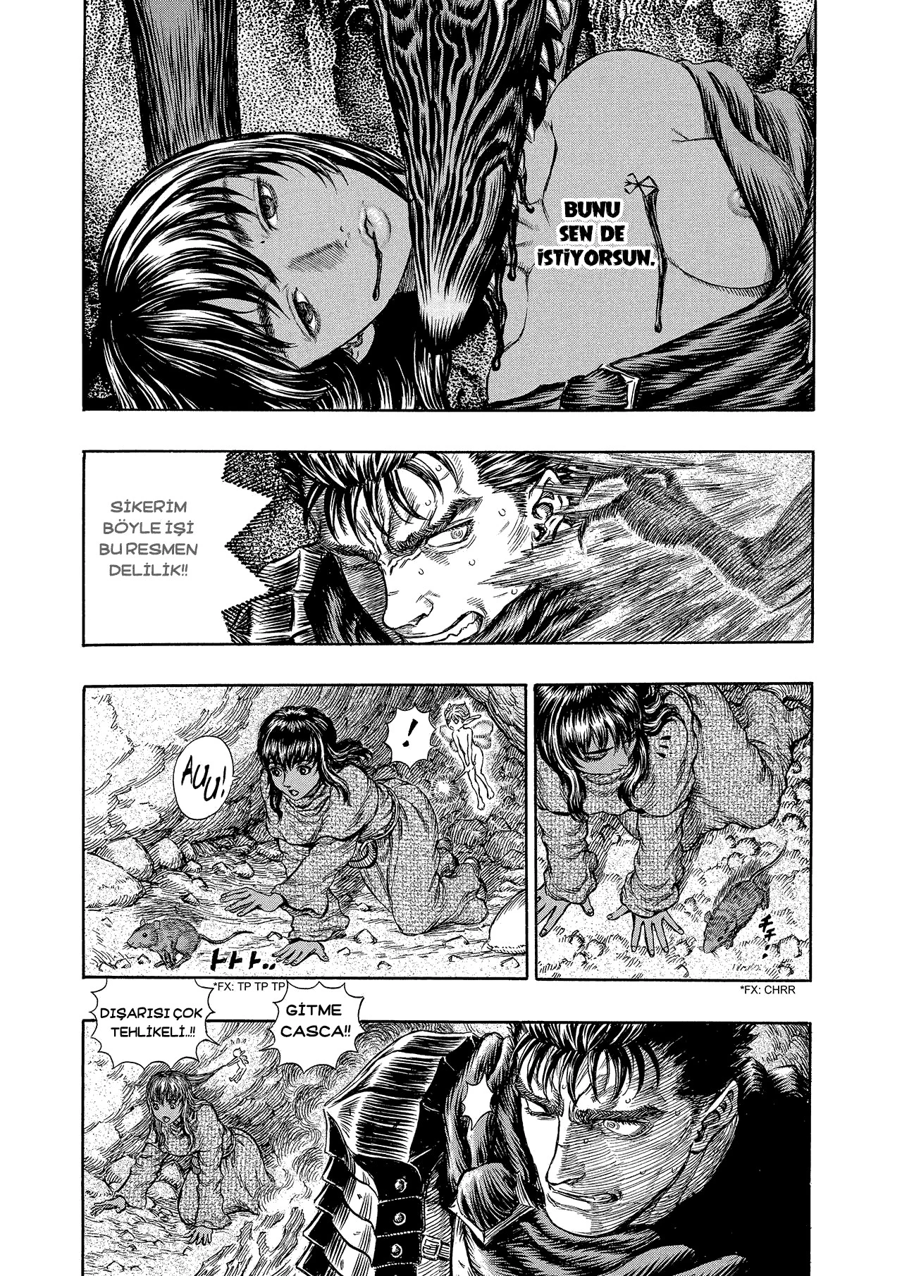 Read Berserk TR Manga Online