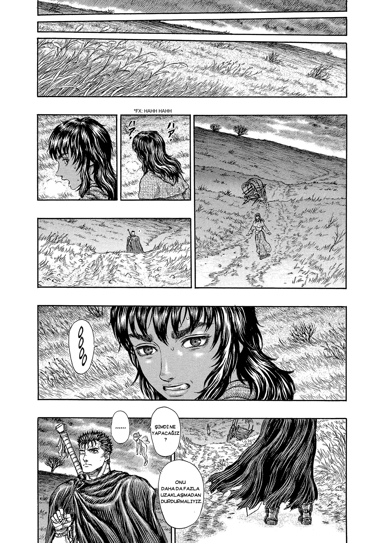 Read Berserk TR Manga Online