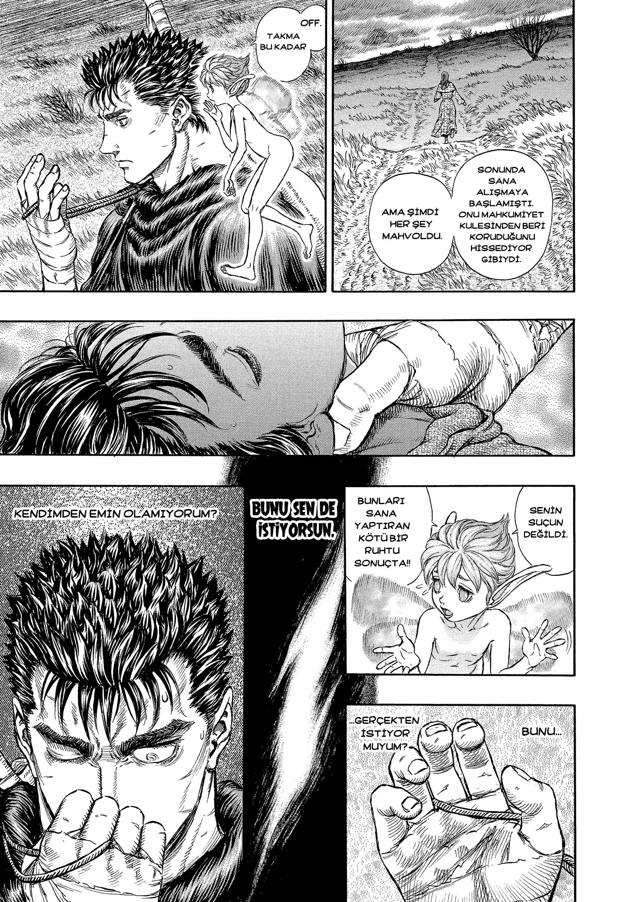 Read Berserk TR Manga Online