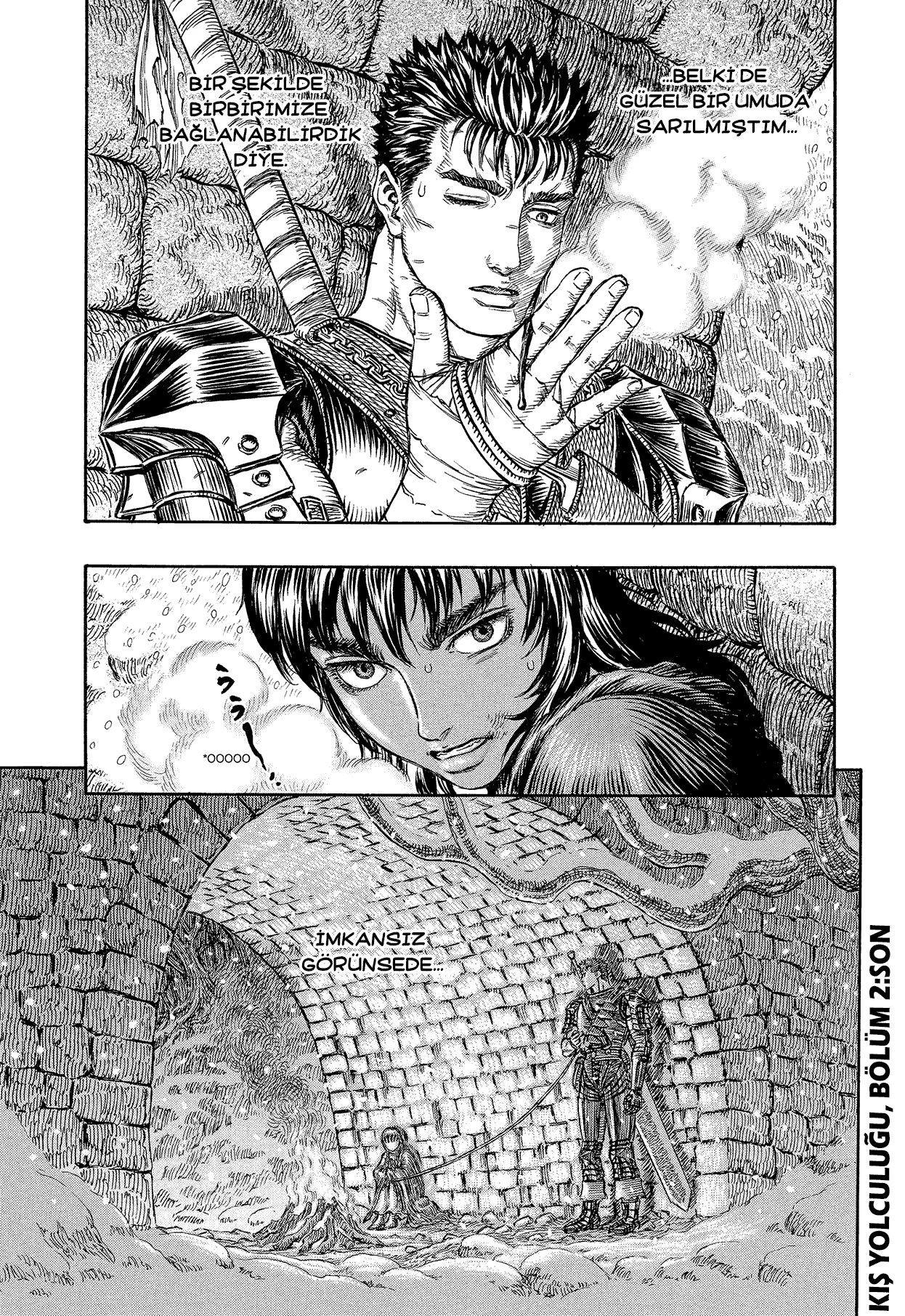 Read Berserk TR Manga Online