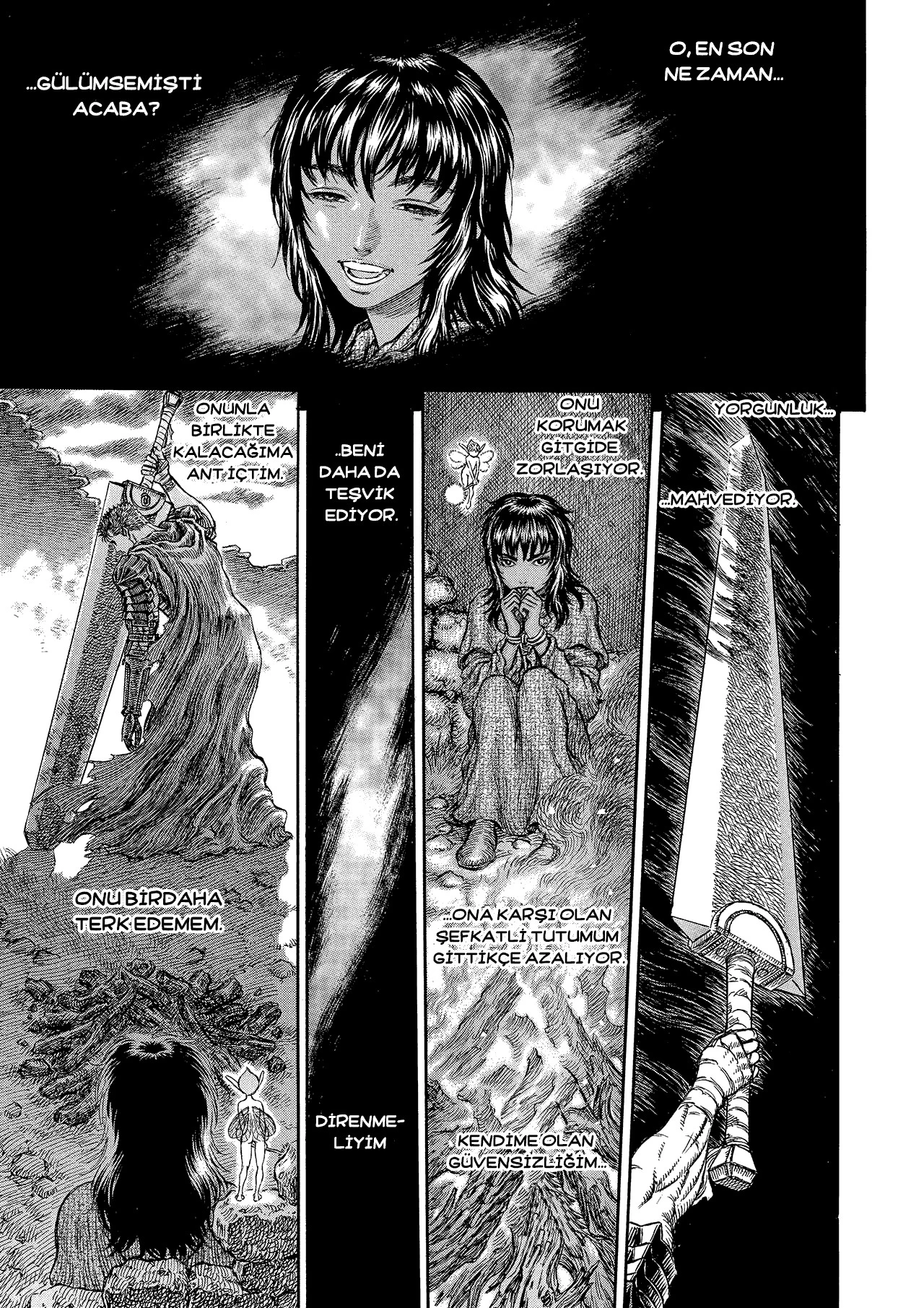 Read Berserk TR Manga Online