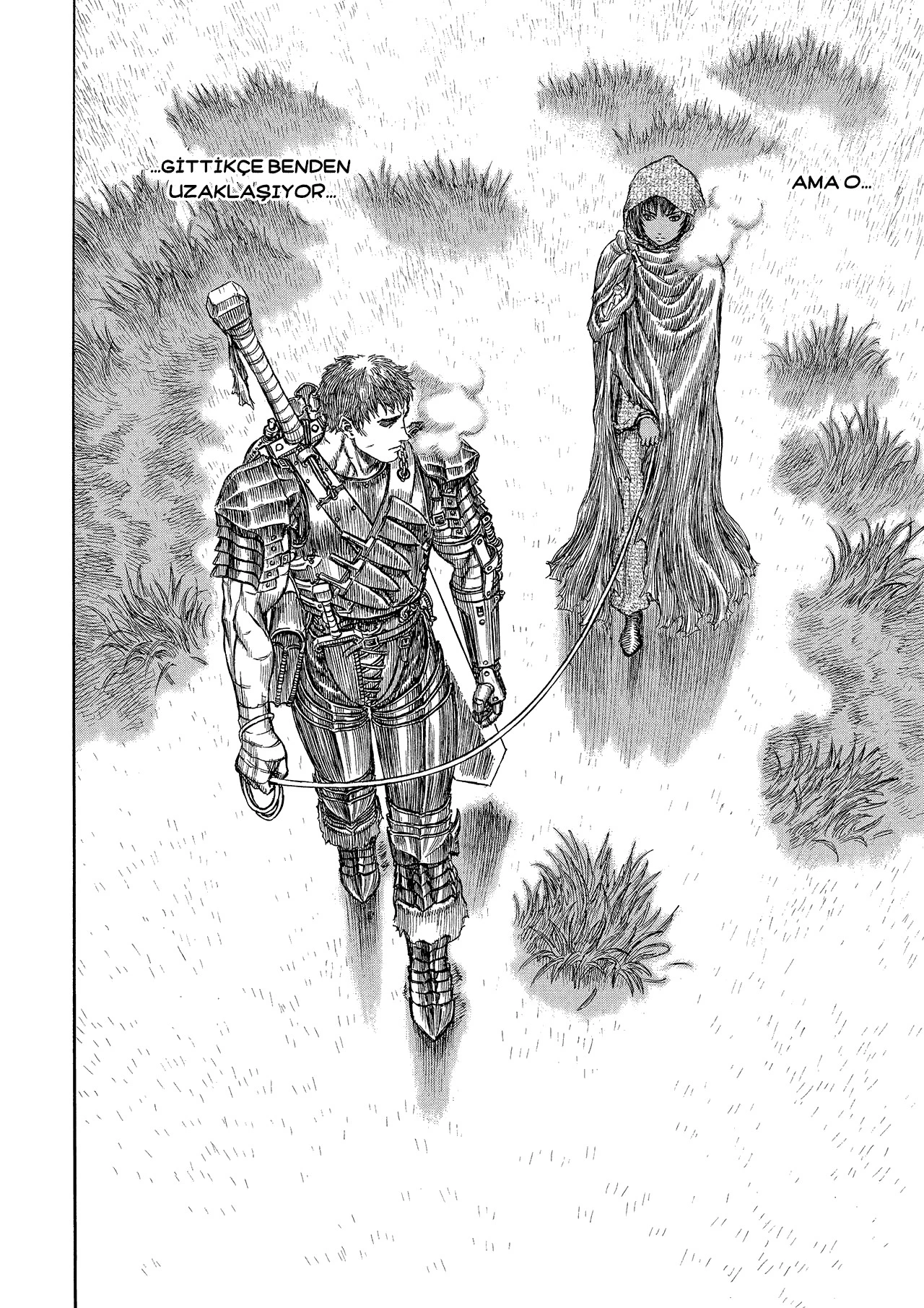 Read Berserk TR Manga Online