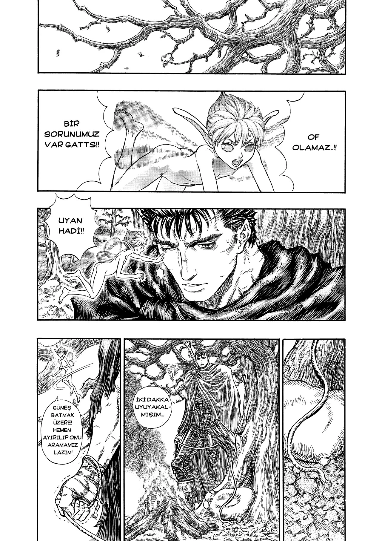 Read Berserk TR Manga Online
