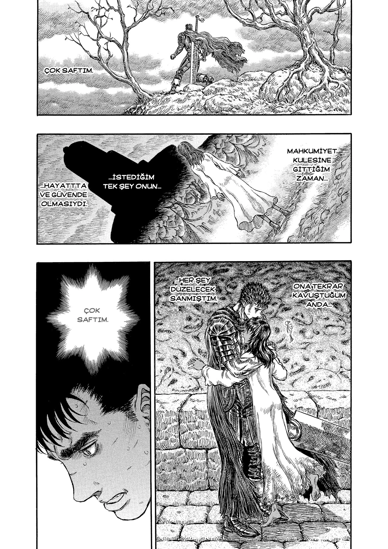 Read Berserk TR Manga Online