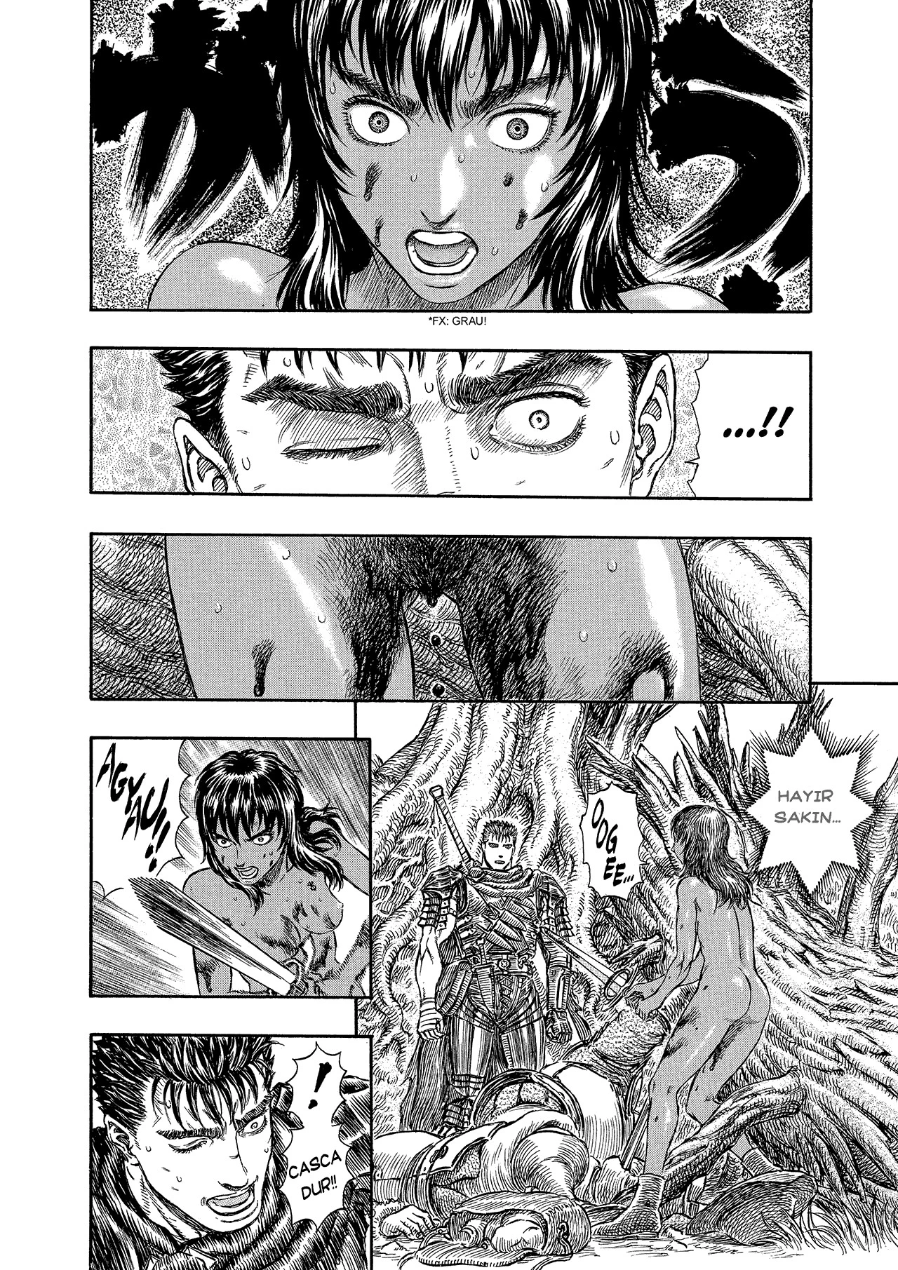 Read Berserk TR Manga Online