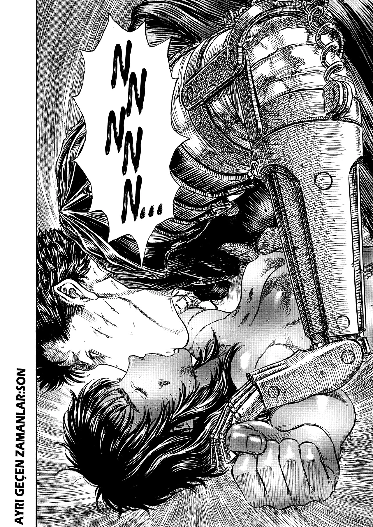 Read Berserk TR Manga Online
