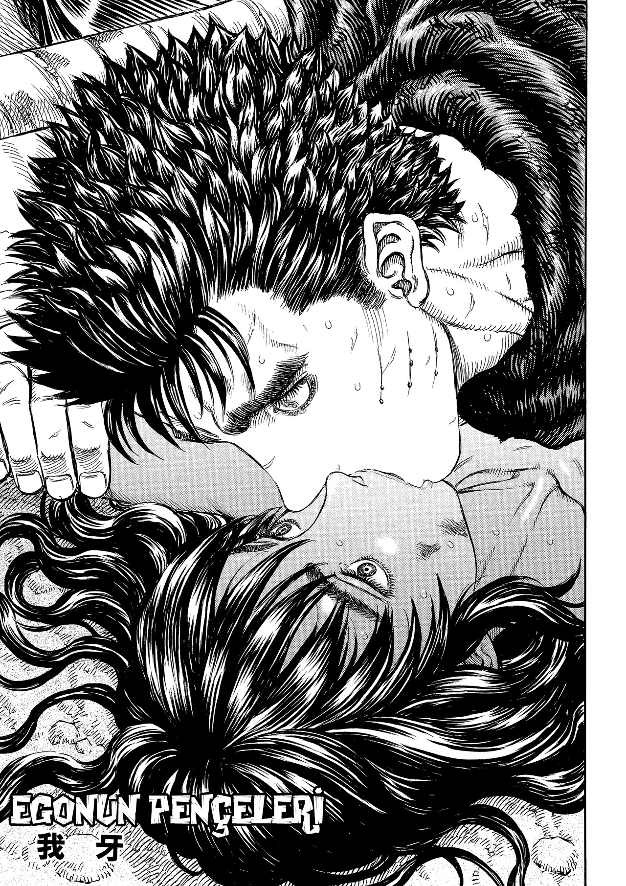 Read Berserk TR Manga Online