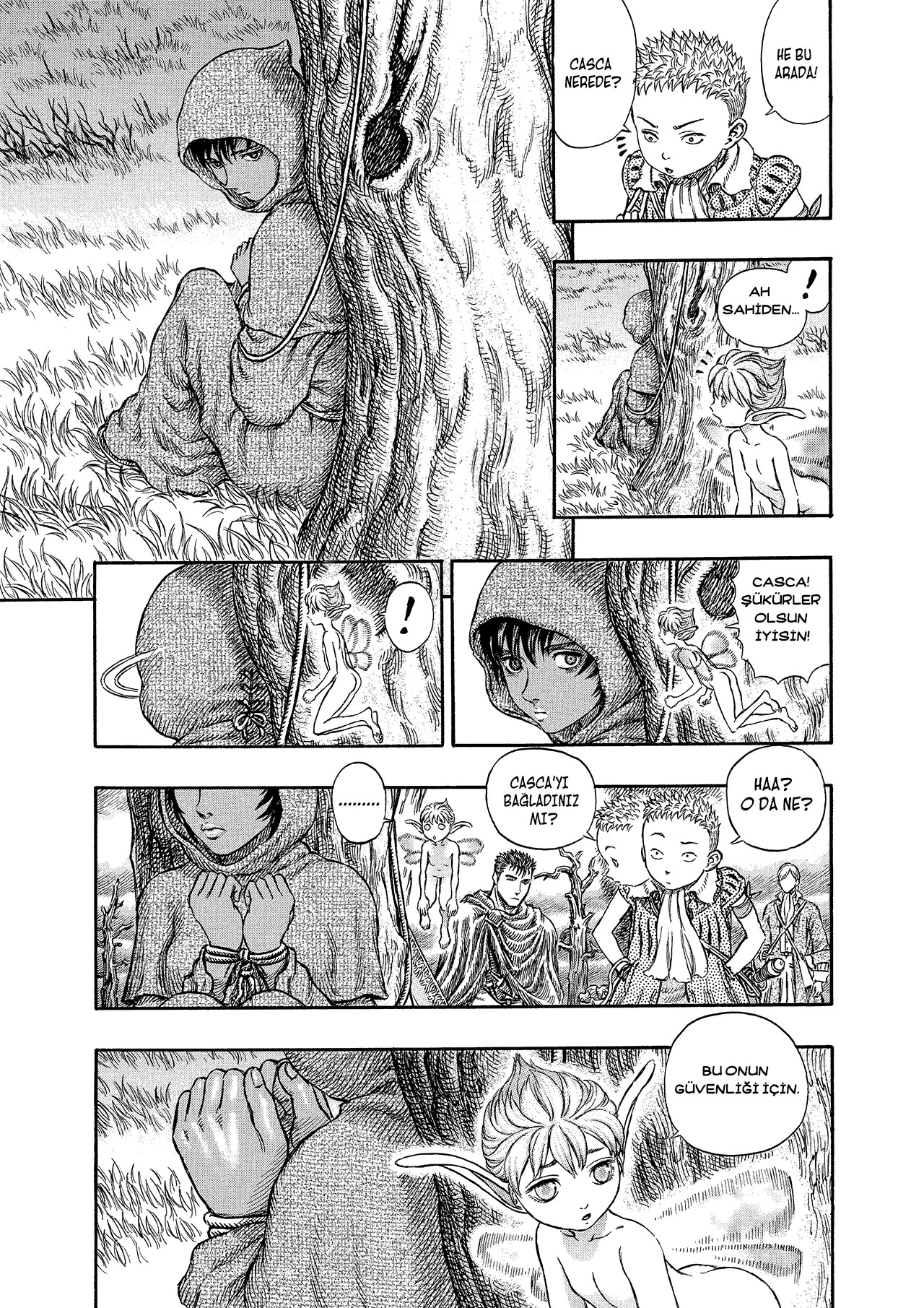 Read Berserk TR Manga Online