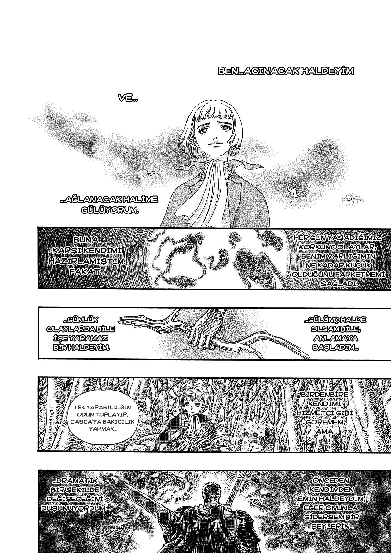 Read Berserk TR Manga Online