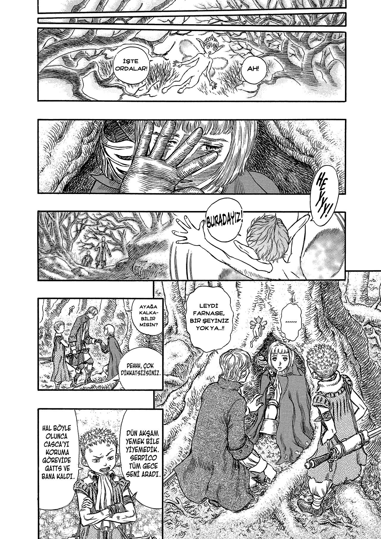 Read Berserk TR Manga Online