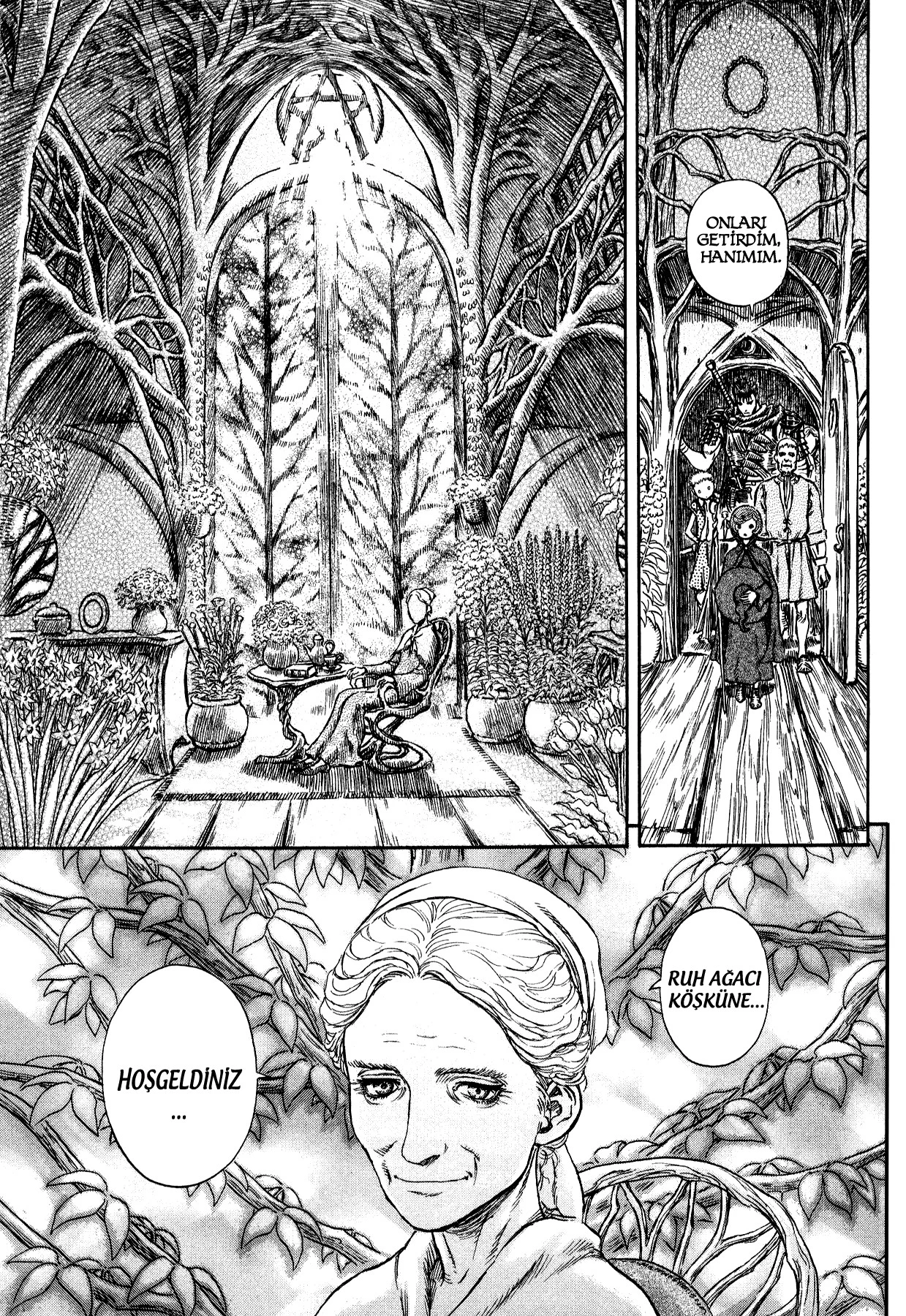 Read Berserk TR Manga Online