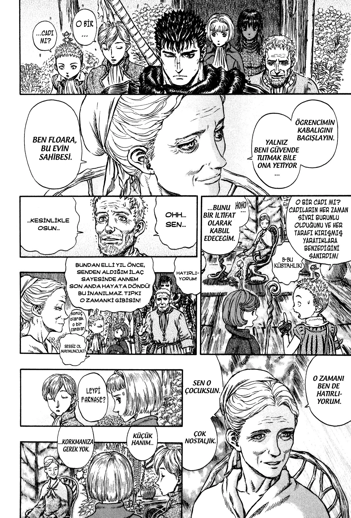 Read Berserk TR Manga Online