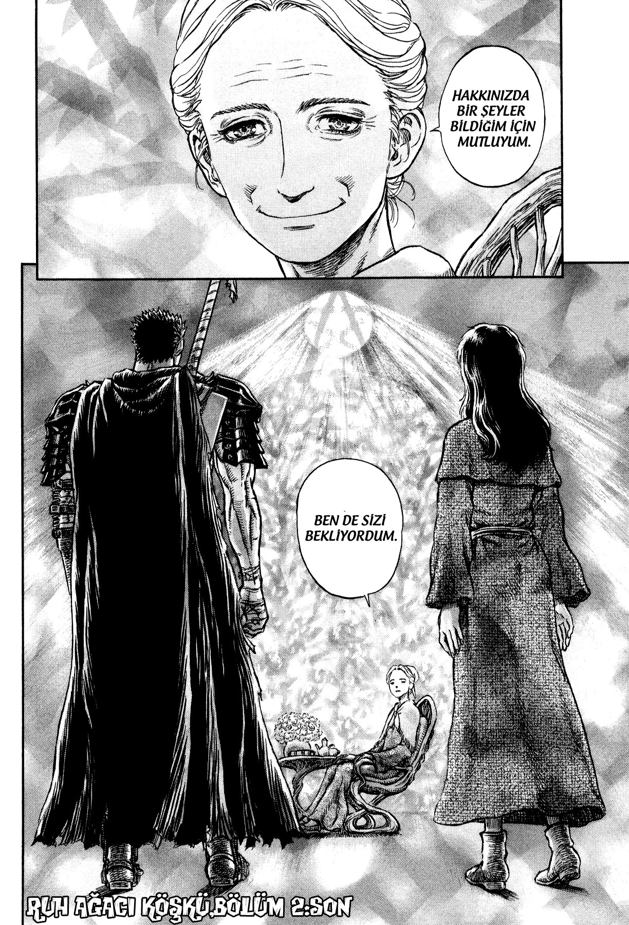 Read Berserk TR Manga Online