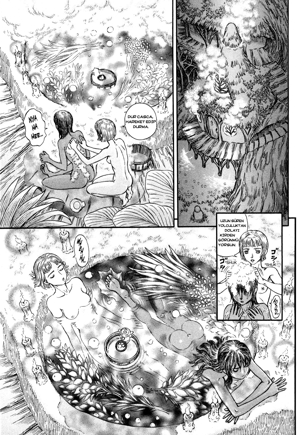 Read Berserk TR Manga Online