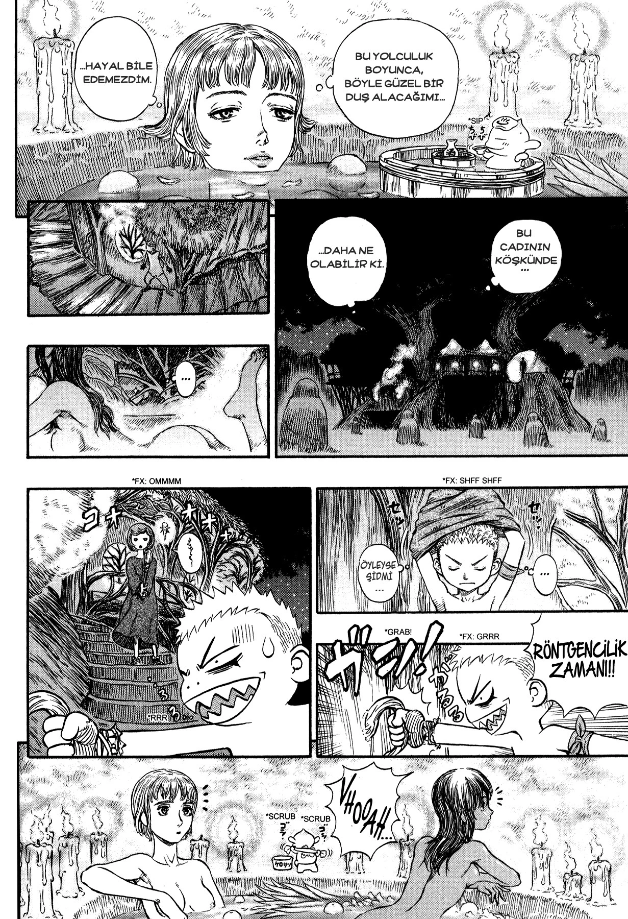 Read Berserk TR Manga Online