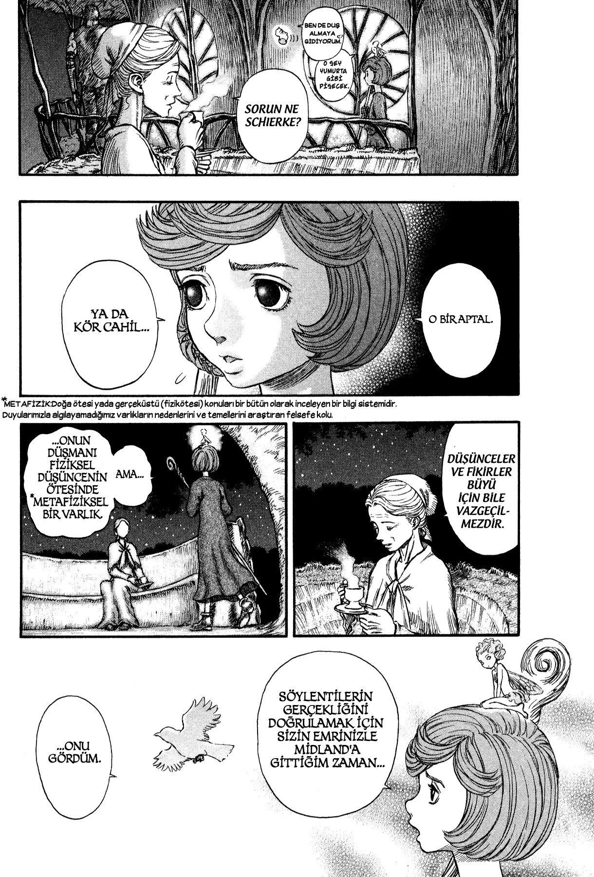Read Berserk TR Manga Online