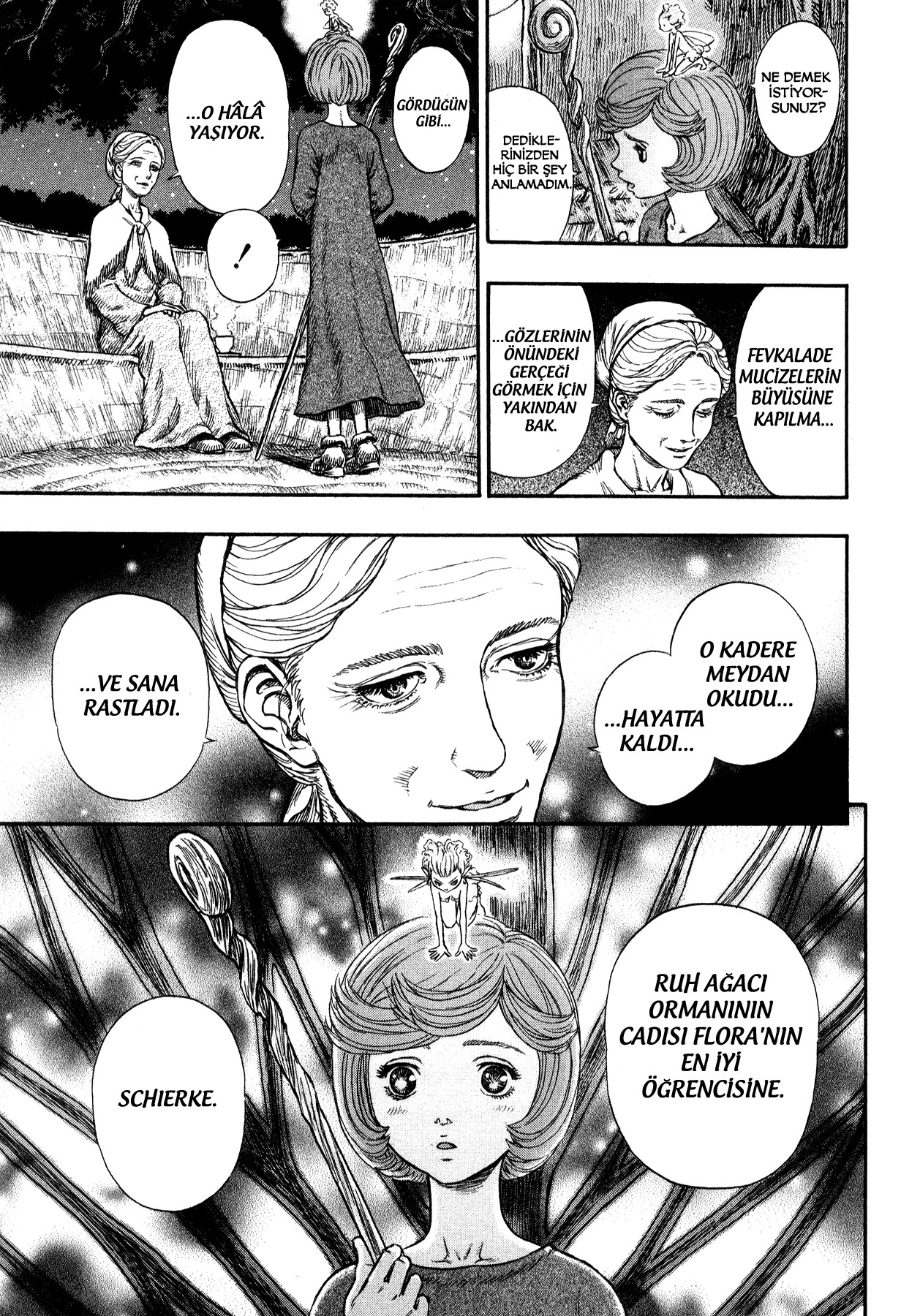 Read Berserk TR Manga Online