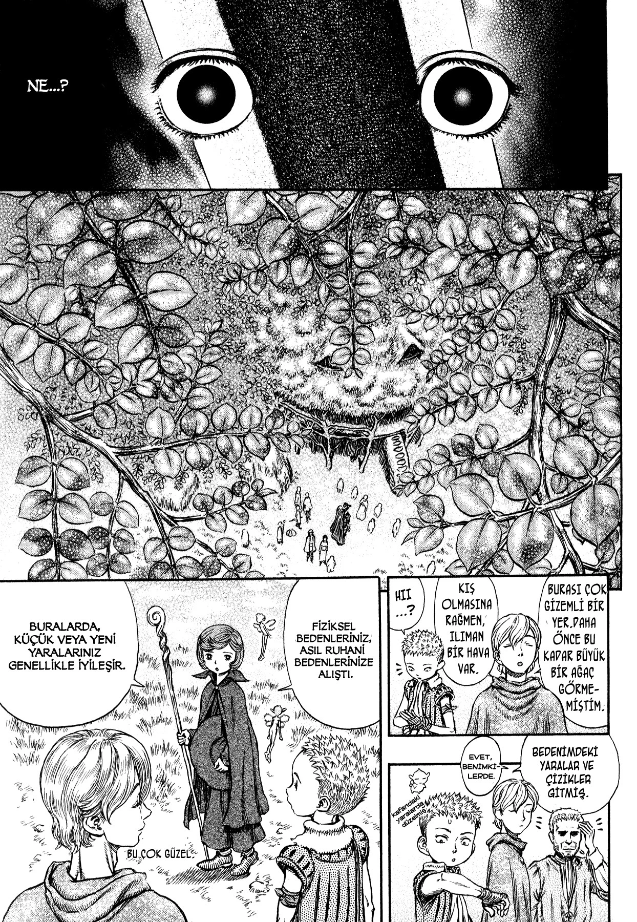 Read Berserk TR Manga Online