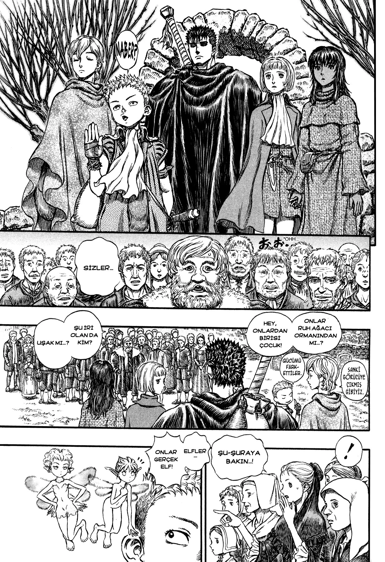 Read Berserk TR Manga Online