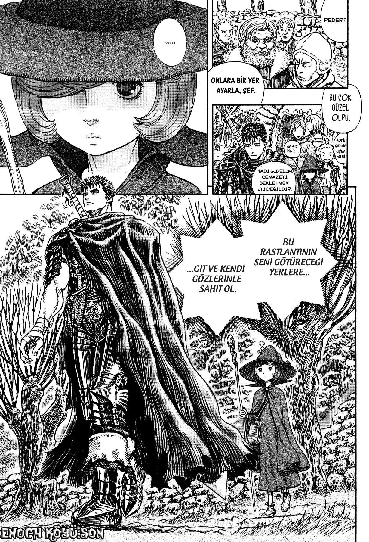 Read Berserk TR Manga Online