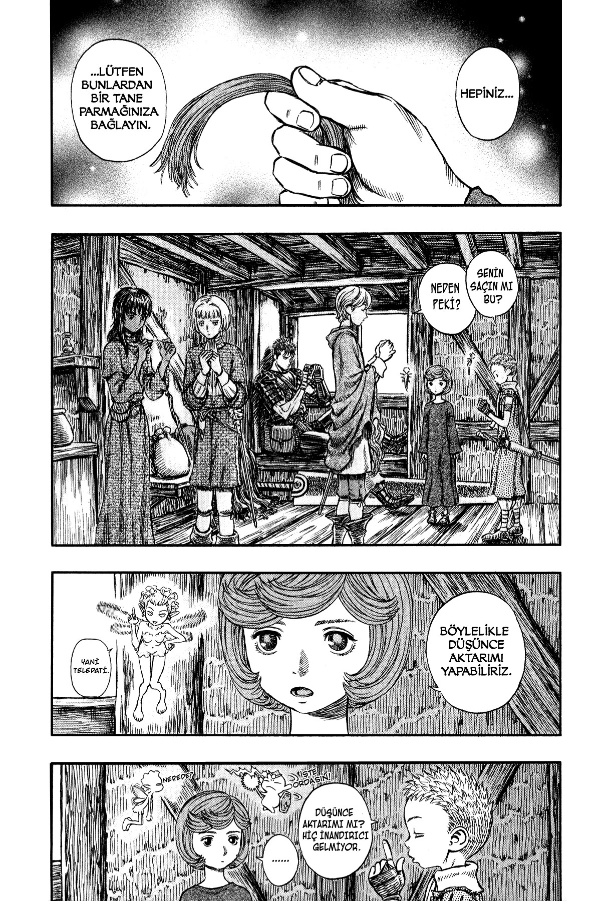 Read Berserk TR Manga Online