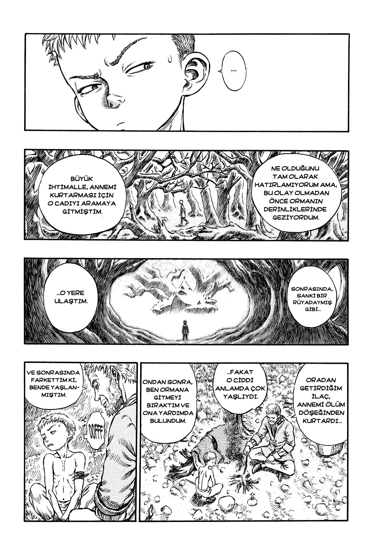 Read Berserk TR Manga Online